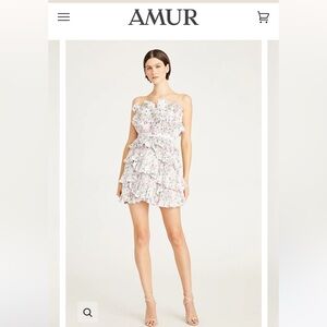 AMUR Reed Pleated Shell Mini Dress Size 2 (New with Tags)